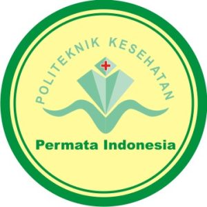 logo pi